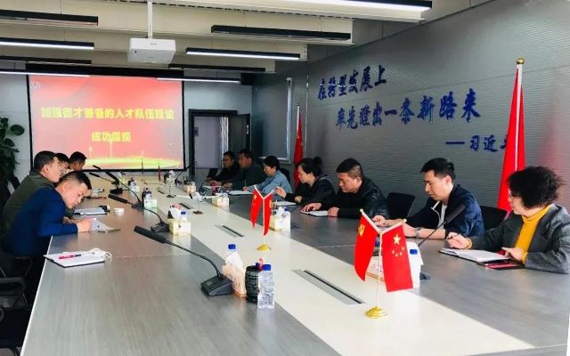 【圆梦钱包党建】圆梦钱包煤炭组织人才行列建设大会商活动